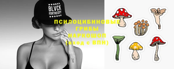 гашик Армянск